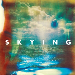 the horrors skying cover